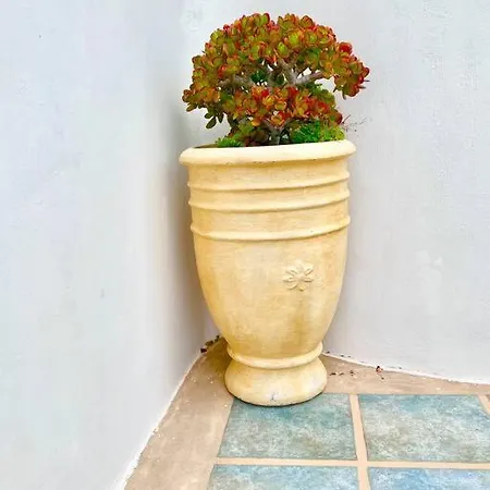 Kalisti Houlakia (Mykonos)
